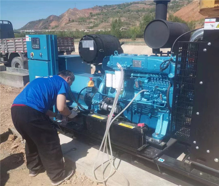 濰柴(chai)電子原(yuán)裝機組(zu)WPG275/B8