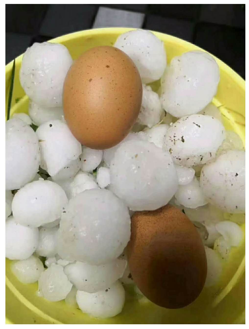 甘肅(su)發生冰雹(báo)災害 甘肅(sù)發生冰雹(báo)災害