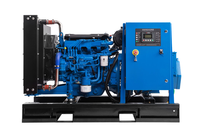 濰柴(chái)動力發電機(ji)