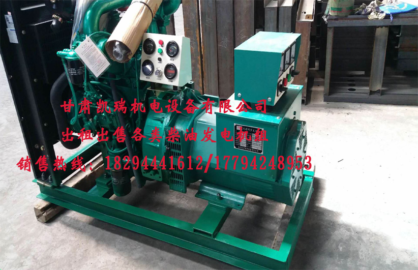 蘭(lan)州發電(diàn)機組廠(chang)家 蘭州發(fā)電機組(zu)廠家