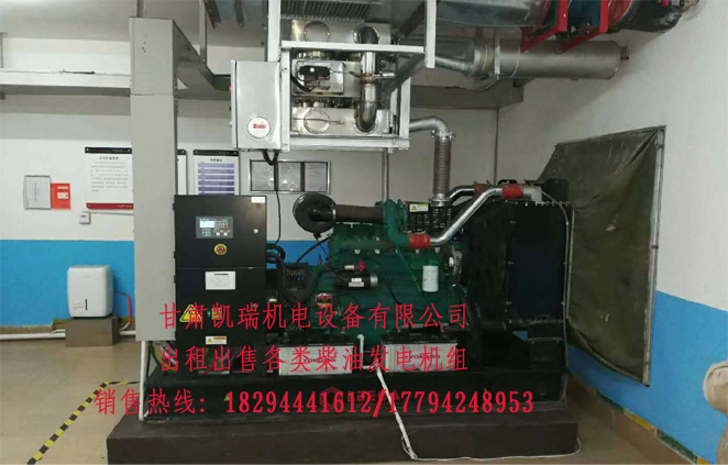 蘭州(zhou)柴油發電機組(zu)廠家