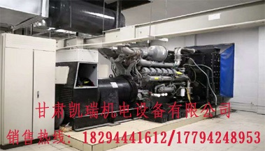 甘(gān)肅玉柴柴油(yóu)發電機組