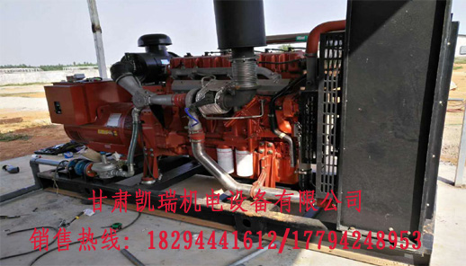 蘭州(zhou)玉柴柴(chái)油發電(dian)機組廠(chǎng)家