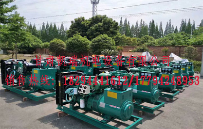 蘭州康(kang)明斯發電機組價(jia)格